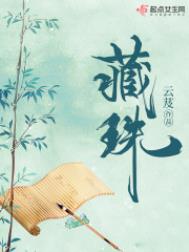 藏珠小說百度百科封面