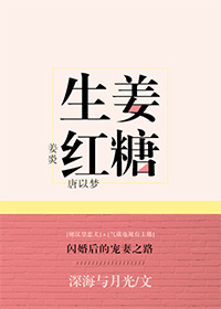 生姜红糖小说在线阅读封面