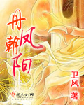 丹鳳朝陽的寓意和象征封面